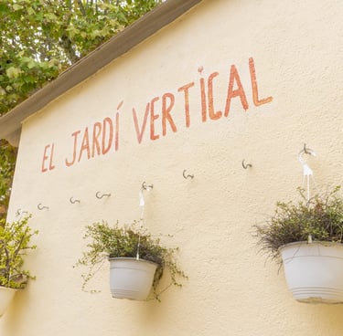 Jardí vertical, un espai verd per aprendre sobre natura i sostenibilitat