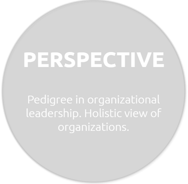Pedigree in organizational leadership. Holistic view of organizations
