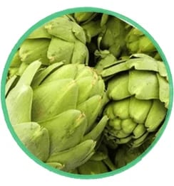 Artichoke extract for prostate detoxification and releasing oxytocin for male performance.