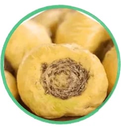Peruvian Maca Root for boosting sperm motility, volume, and resilient active sex drive.
