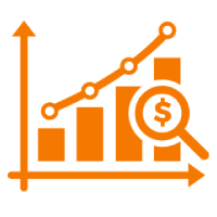 Financial Analysis