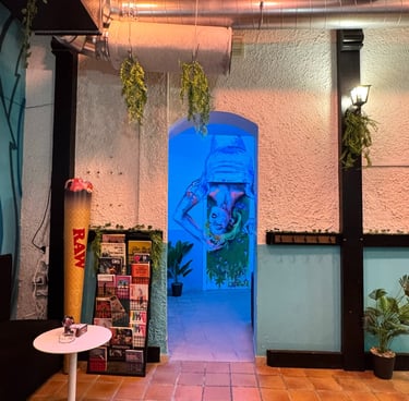 Freedom | Club cannabis Madrid