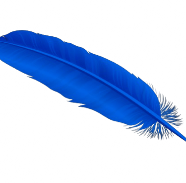 Blue feather representing creativity, inspiration, and the journey of transformation.
