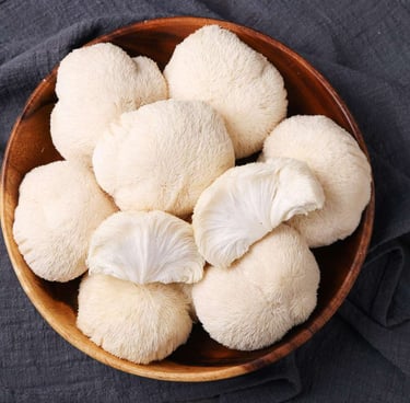 funghi criniera di leone in vendita