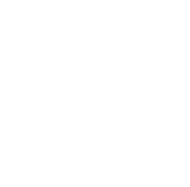 taxi conventionné lyon