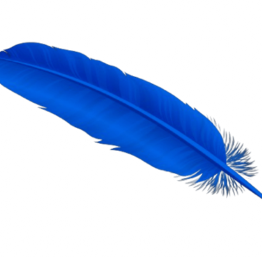 Blue feather representing creativity, inspiration, and the journey of transformation.