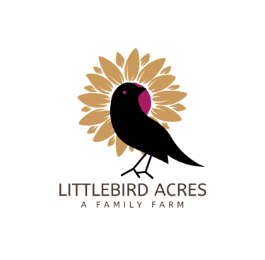 golden sunflower in background of a black cartoon magpie logo for LittleBird Acres