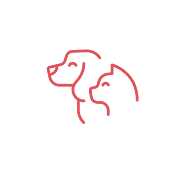 Professional dog groomers Doha