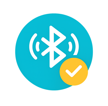 Système Bluetooth location voiture Martinique