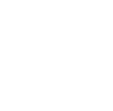 Shamanic Door logo blanc ingénierie systémique conscience