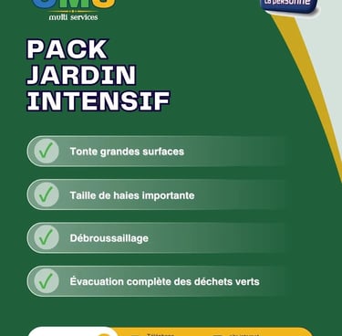 Pack Jardin Intensif à Belfort – entretien terrain dense et volumineux