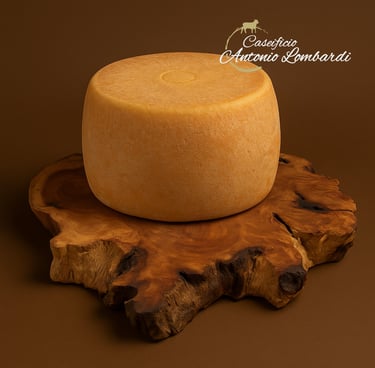PECORINO DEL GARGANO MANFREDONIA