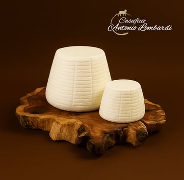 RICOTTA DI PECORA MANFREDONIA