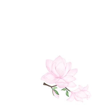 Pink peony illustration for greeting cards and art prints