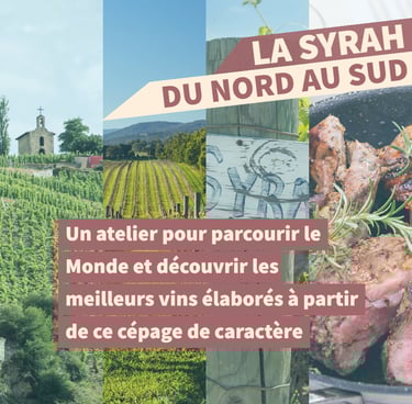 cours oenologie vin syrah rhone