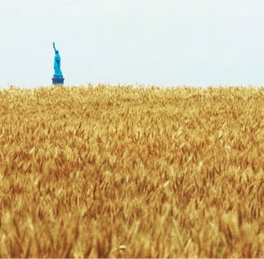 Agnes Denes "Wheatfield - A Confrontation", a statue of liberty in a field of wheat