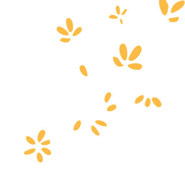 pétales de fleurs qui s'envolent