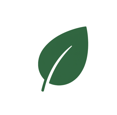 Simple green leaf icon representing natural and herbal elements