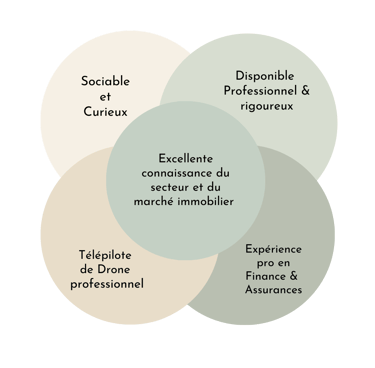 a diagram of a circle of four circles with the words,'socialize,
