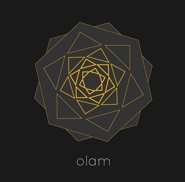 Partenaire YNCEPTION olam