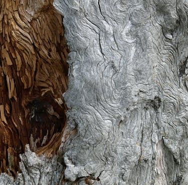 Crédits photos : Isabelle et Jean Dotter