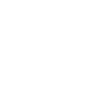 Drive Elite logo