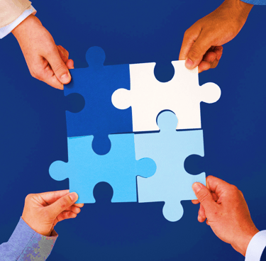 Bluess Ecossistema Parceiros Estratégicos