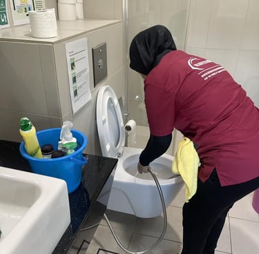 iccs cleaning solution
