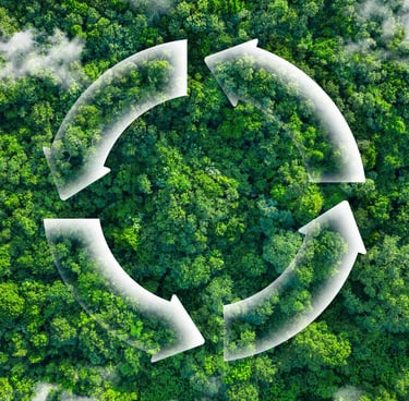 Smaltimento dei rifiuti da sgombero in modo ecologico
