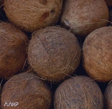 PT AAKP ANEKA USAHA RAYA