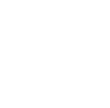 Sandy beach dive academy , scuba dive in Fujairah , shore dive snoopy island