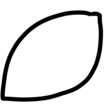 oblong shape