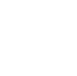 Apple Icon