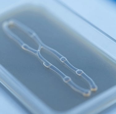 Macro close-up of a high-resolution genomic flow cell, cool sterile laboratory light with blue undertones, sharp technical details.