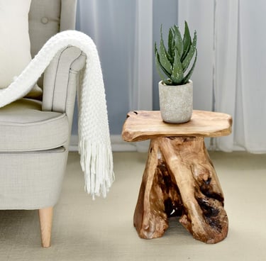 Rustic teak root side table with a potted succulent next to a cozy beige armchair and white knit throw blanket.