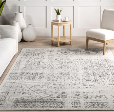 Distressed grey and white medallion area rug in a modern living room with neutral furniture.