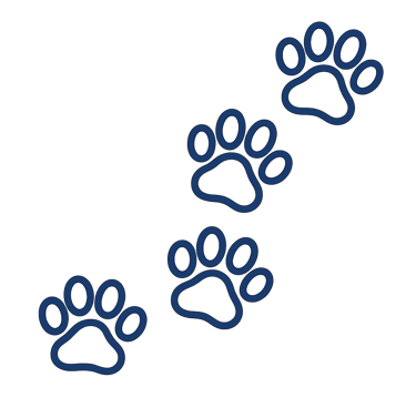 Simple paw print graphic used for Doo Ing It pet waste removal service branding in Salem.