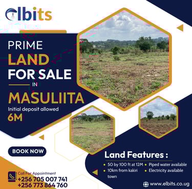 Land for sale in Masulita