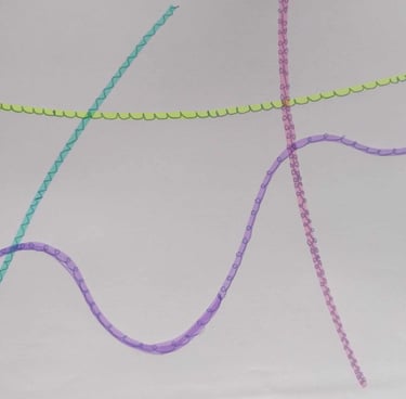 progression inscription