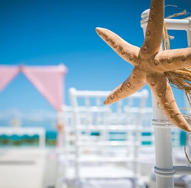 A starfish chair decoration at a tropical beach wedding ceremony with pink altar and white chairs.