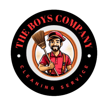 the boys company cleaning services in chennai