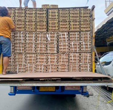 fresh table eggs take from supplier