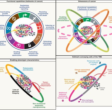 schematics from "Hallmarks of cancer" review