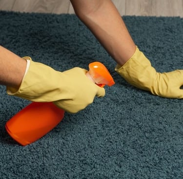 eden prairie mn carpet stain removal