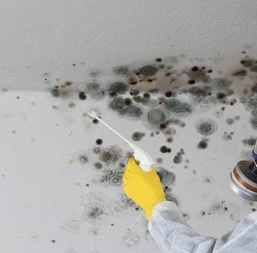 NHC réhabilitation logement assainissement des moisissures.