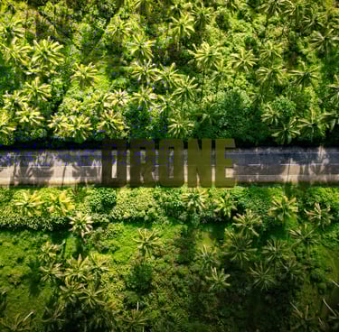 drone shot d'une foret de palmier au philippines