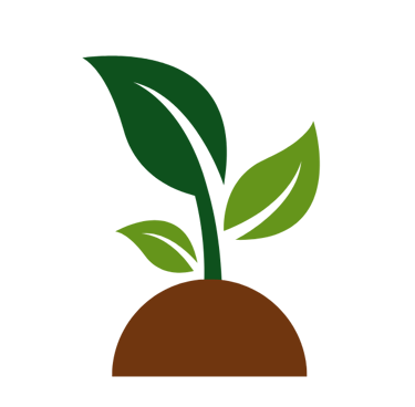 A plant growing out of hard soil showing resilience