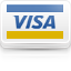 visa icon