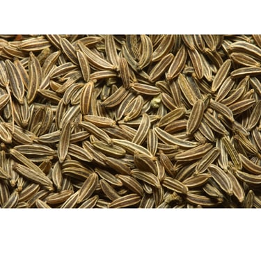 Cumin Jeera - WEARE OCEAN EXPORT