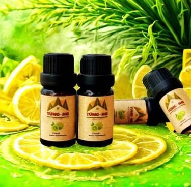 Tinh dầu chanh xanh Tùng Hạ, Lime Essential Oil, 青柠精油"